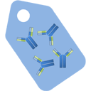 Antibody Tag