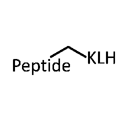 KLH Conjugation