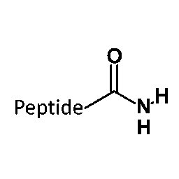 Amidation