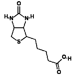 Biotinylation
